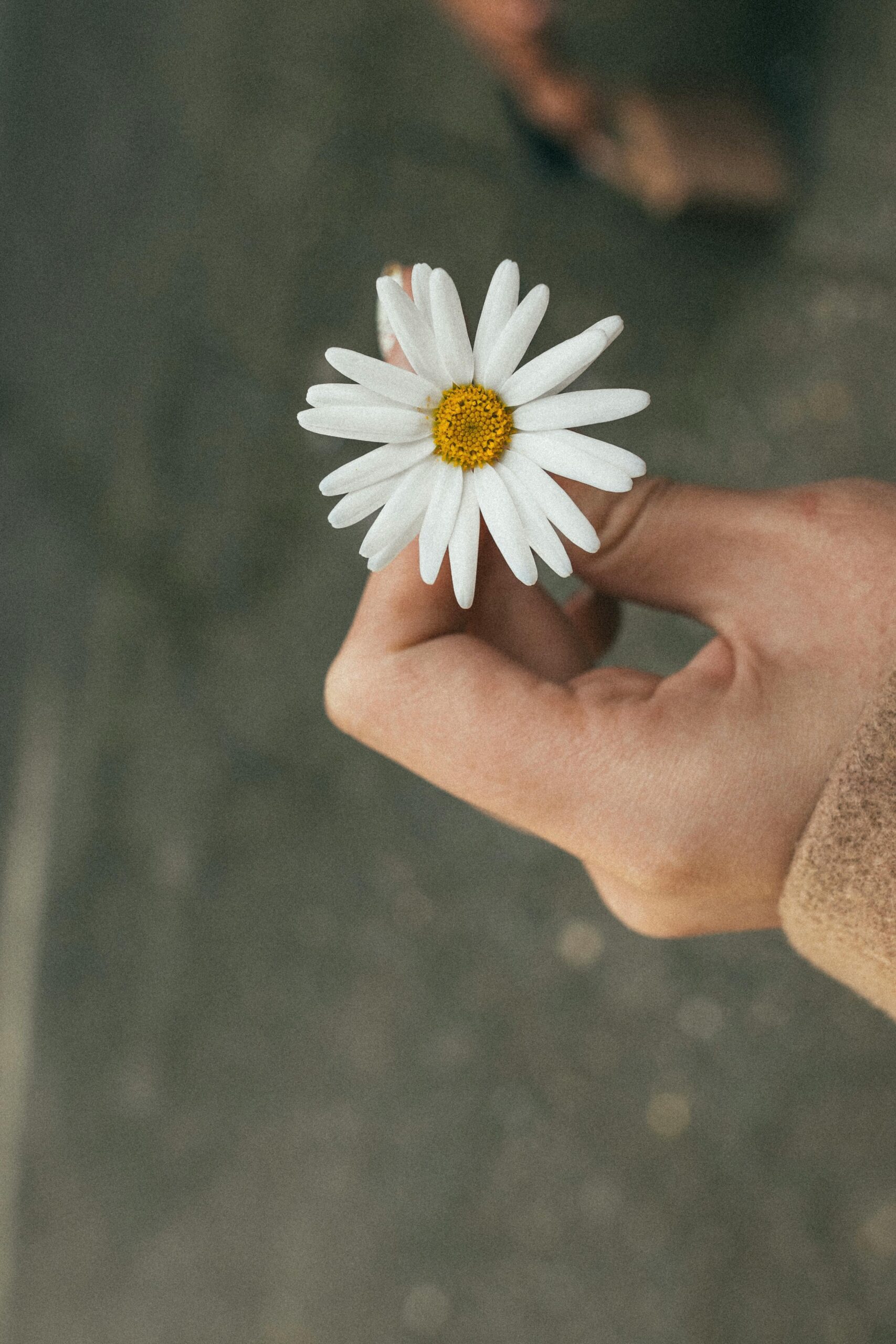 Mental-Light | Warum sich negative Emotionen als emotionale Belastung im Körper festsetzen